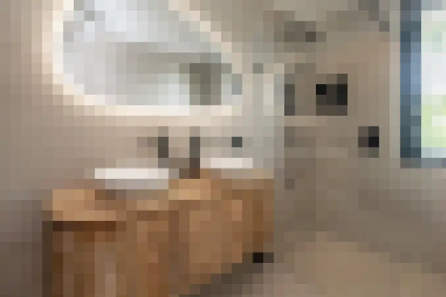 Mosterdlaan 27 Barneveld thumbnail 25