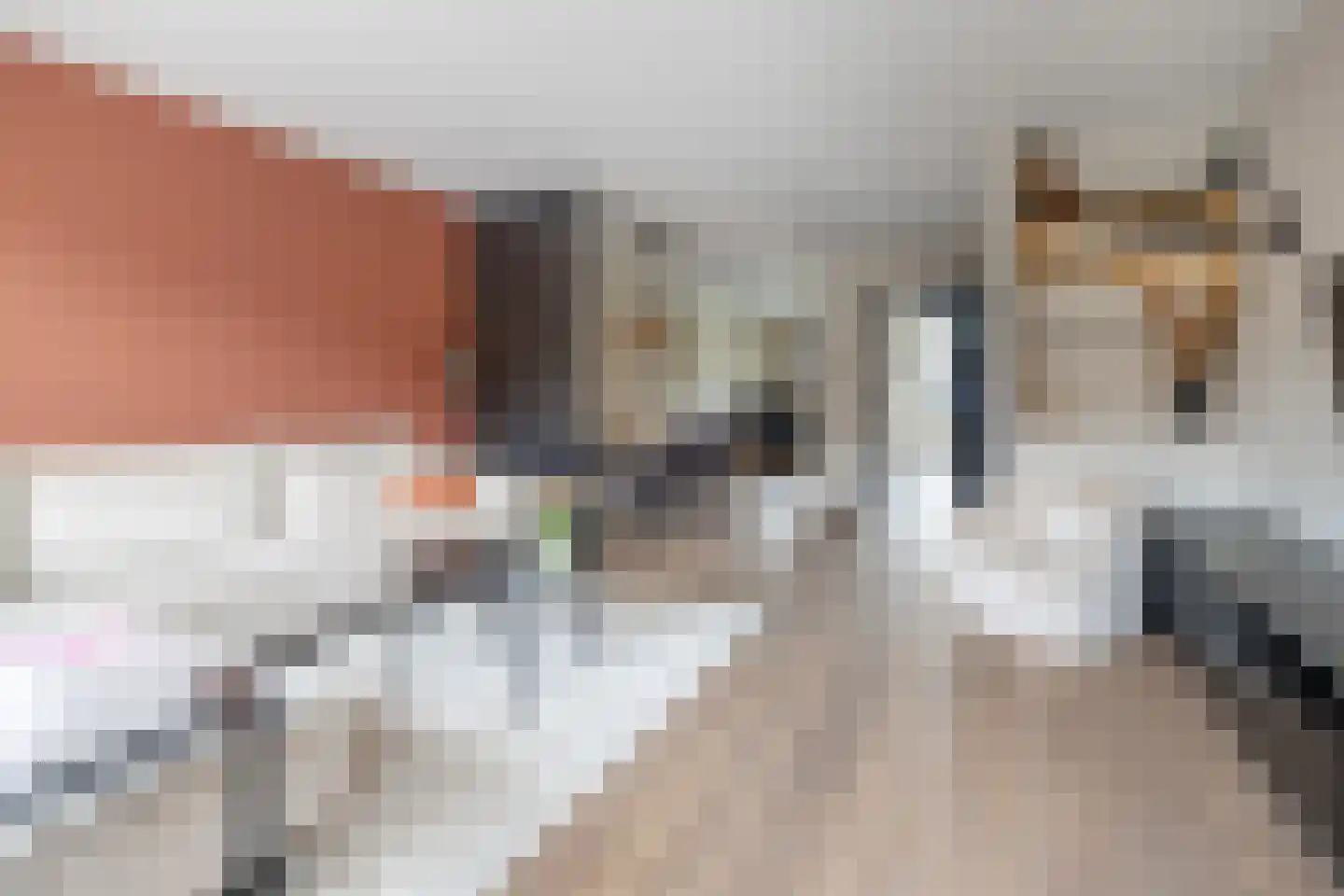 Mosterdlaan 27 Barneveld thumbnail 7