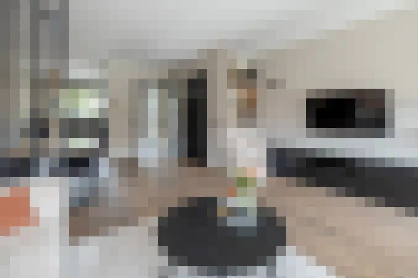 Mosterdlaan 27 Barneveld thumbnail 8