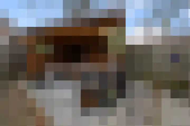 Mosterdland 2 Koog aan de Zaan thumbnail 11