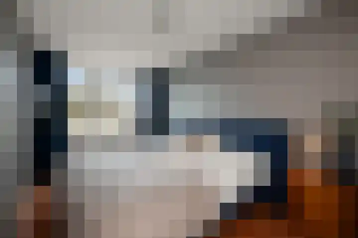 Mosterdland 2 Koog aan de Zaan thumbnail 16