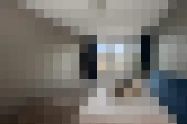Mosterdland 2 Koog aan de Zaan thumbnail 18