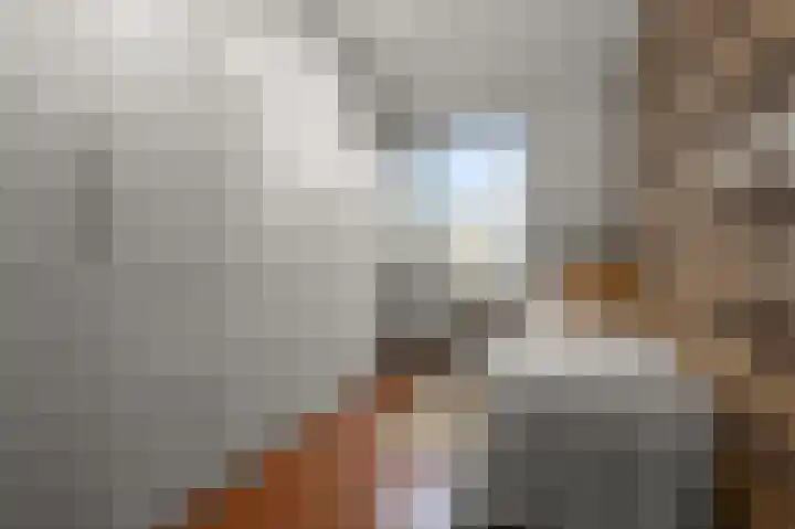 Mosterdland 2 Koog aan de Zaan thumbnail 20