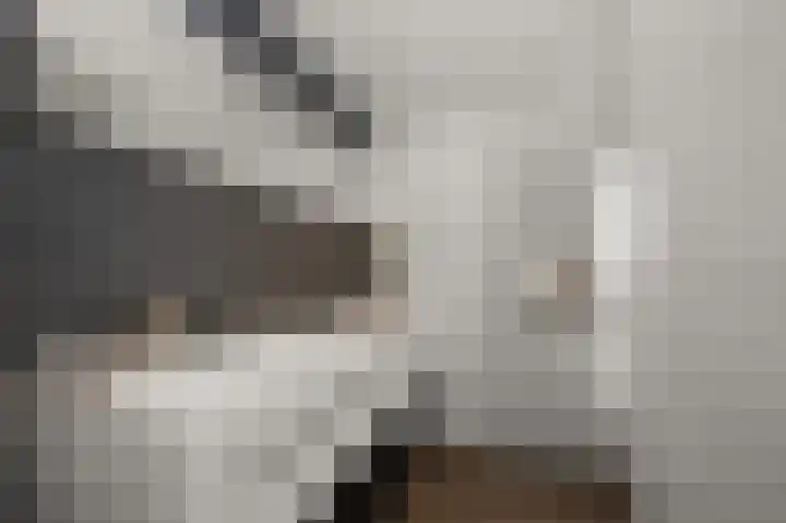 Mosterdland 2 Koog aan de Zaan thumbnail 23