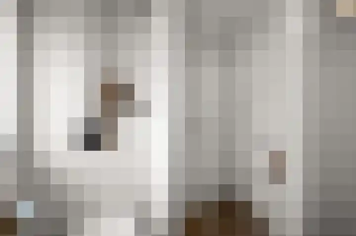 Mosterdland 2 Koog aan de Zaan thumbnail 24