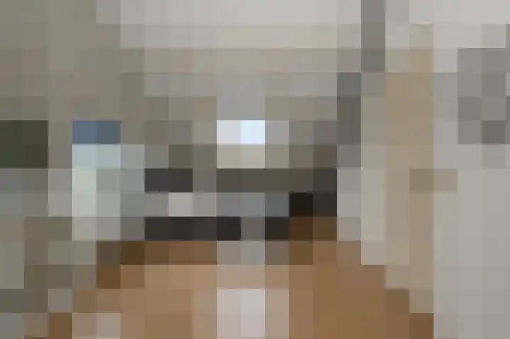Mosterdland 2 Koog aan de Zaan thumbnail 26