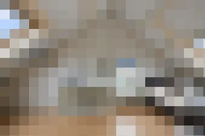 Mosterdland 2 Koog aan de Zaan thumbnail 27