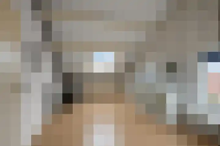 Mosterdland 2 Koog aan de Zaan thumbnail 28