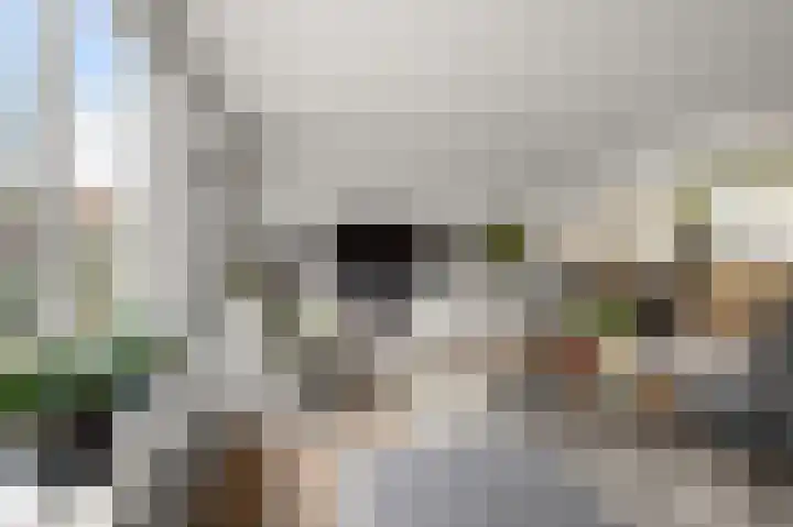Mosterdland 2 Koog aan de Zaan thumbnail 4