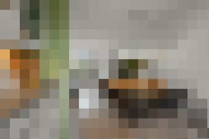 Mosterdland 2 Koog aan de Zaan thumbnail 8