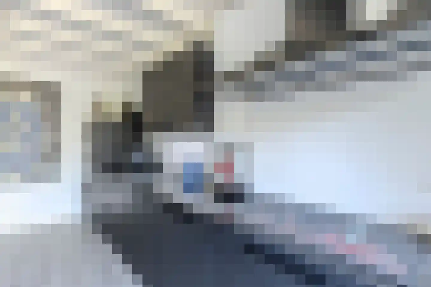 Mosterdland 3 Koog aan de Zaan thumbnail 10