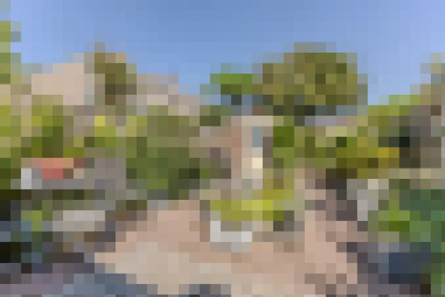 Mosterdland 3 Koog aan de Zaan thumbnail 14
