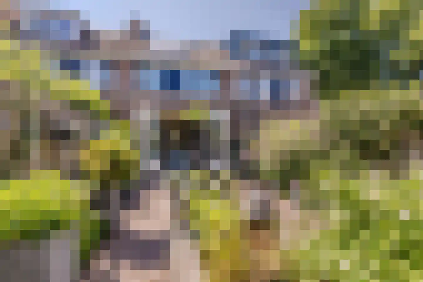 Mosterdland 3 Koog aan de Zaan thumbnail 16