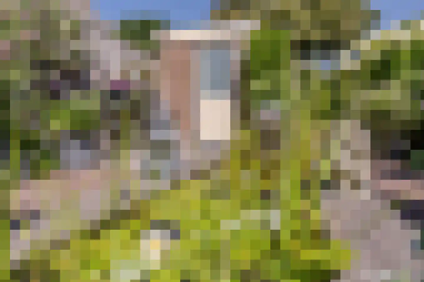 Mosterdland 3 Koog aan de Zaan thumbnail 17