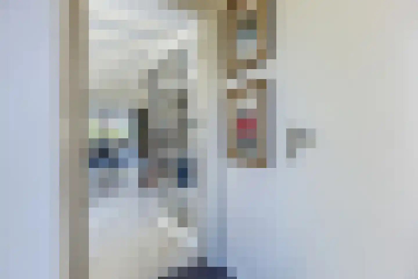 Mosterdland 3 Koog aan de Zaan thumbnail 18