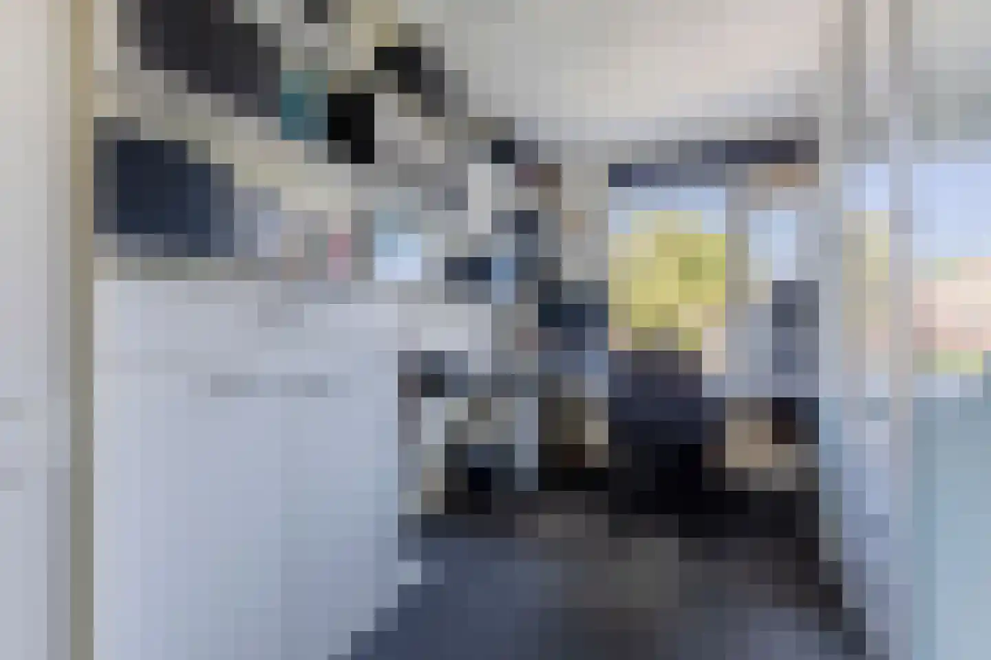 Mosterdland 3 Koog aan de Zaan thumbnail 23