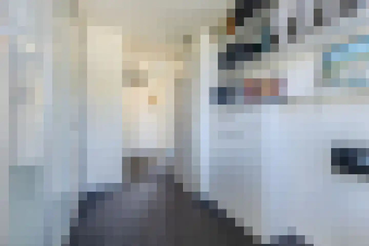 Mosterdland 3 Koog aan de Zaan thumbnail 24