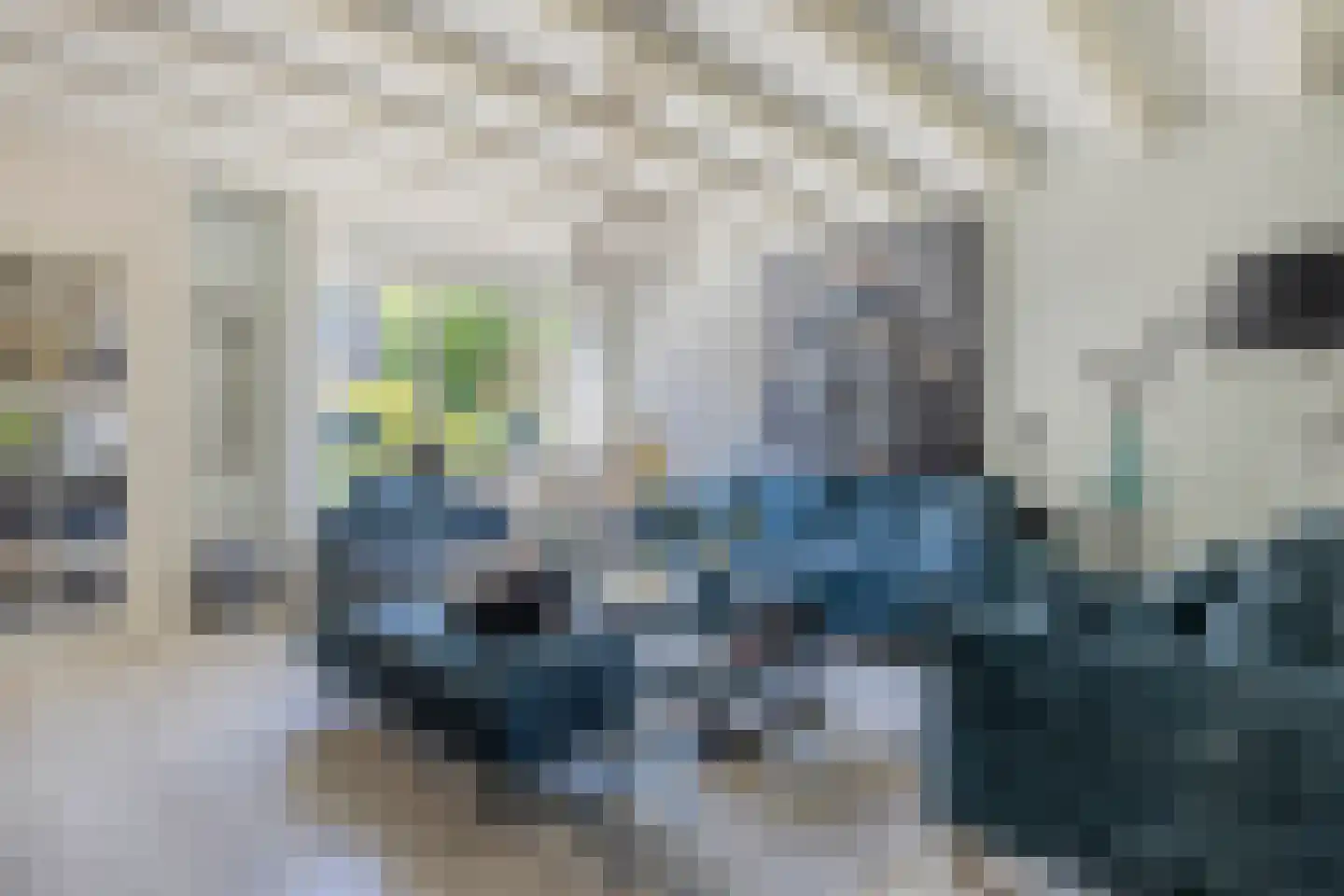 Mosterdland 3 Koog aan de Zaan thumbnail 6