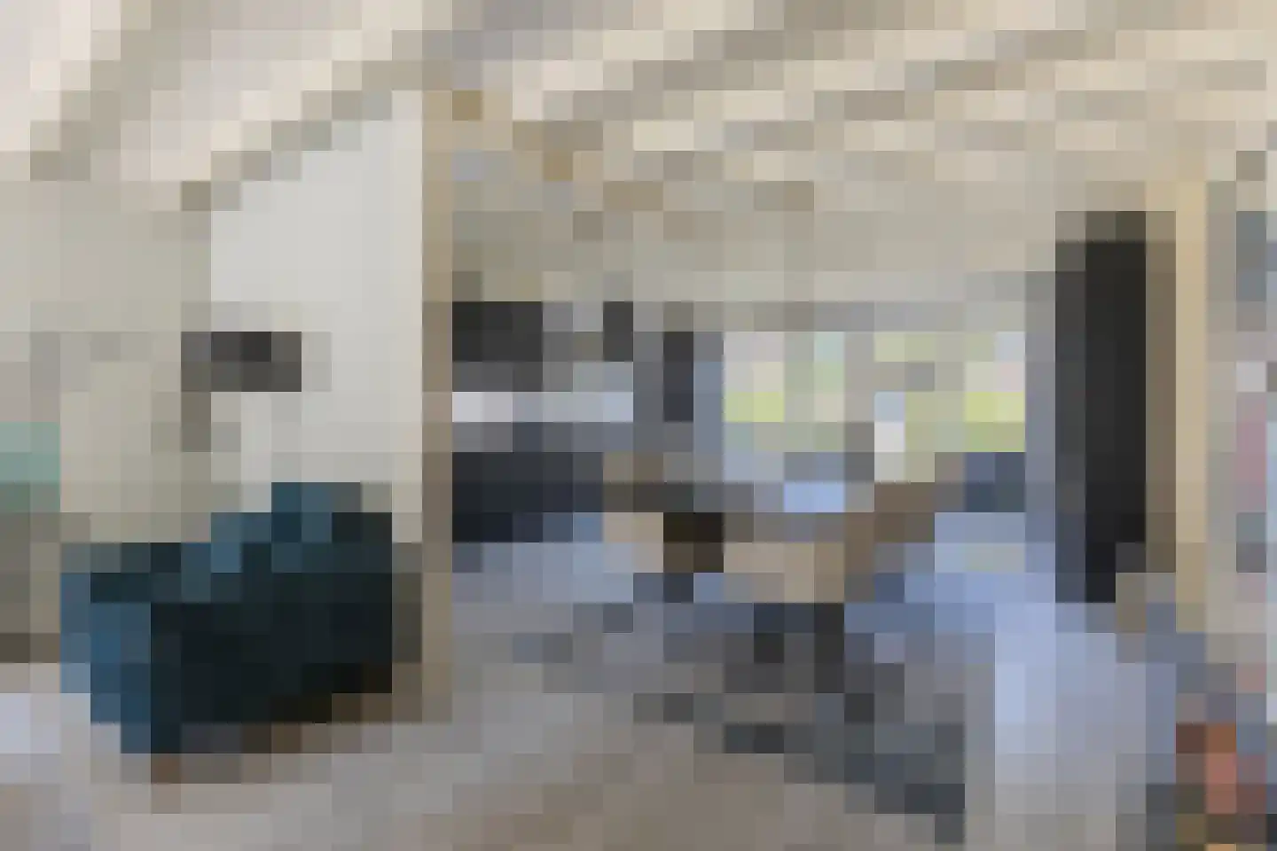 Mosterdland 3 Koog aan de Zaan thumbnail 7
