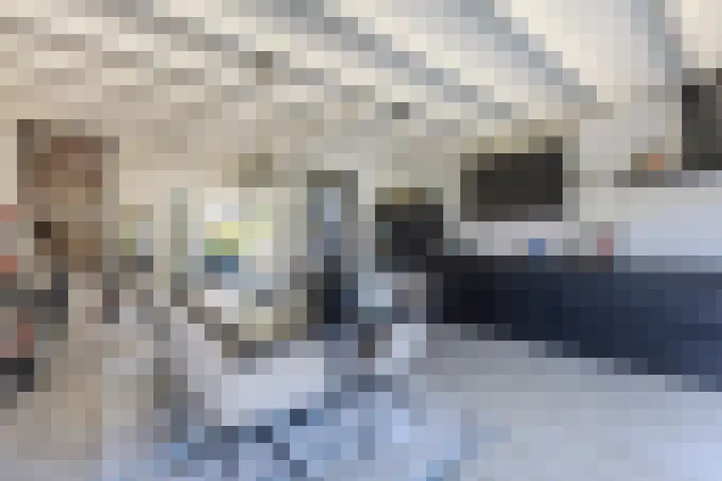 Mosterdland 3 Koog aan de Zaan thumbnail 8