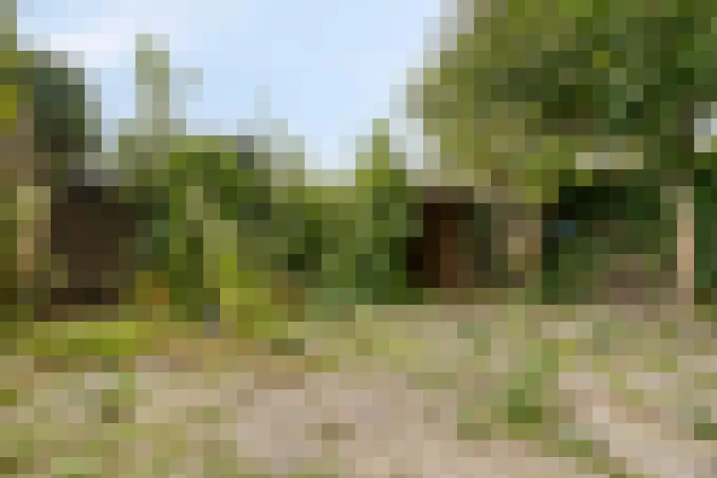 Mosterdmolenweg 6 Montfoort thumbnail 22