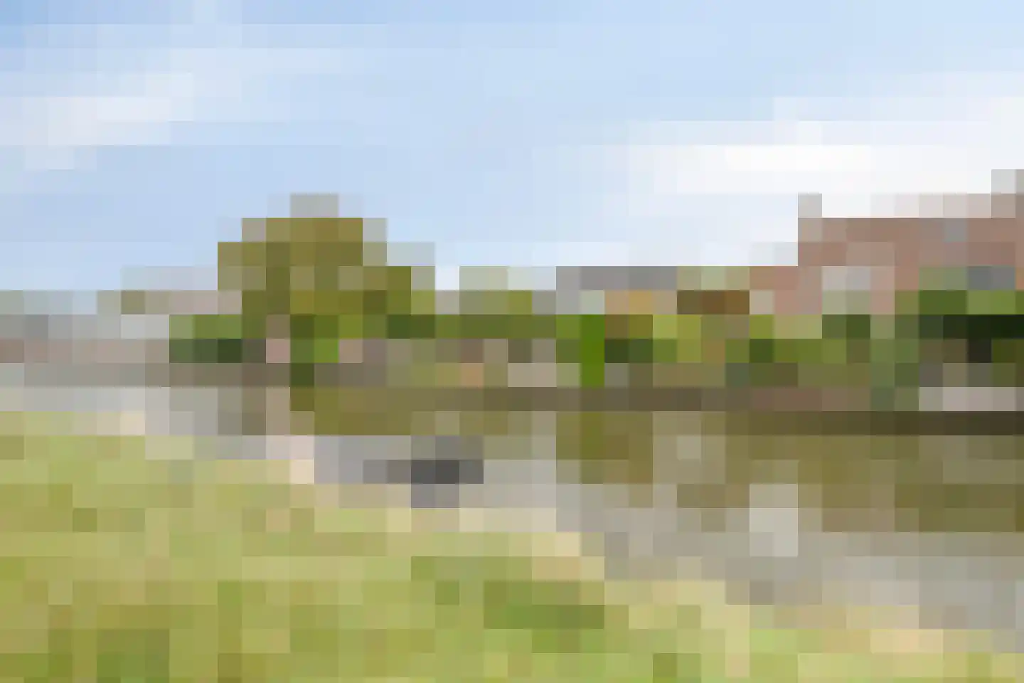 Mosterdmolenweg 6 Montfoort thumbnail 32