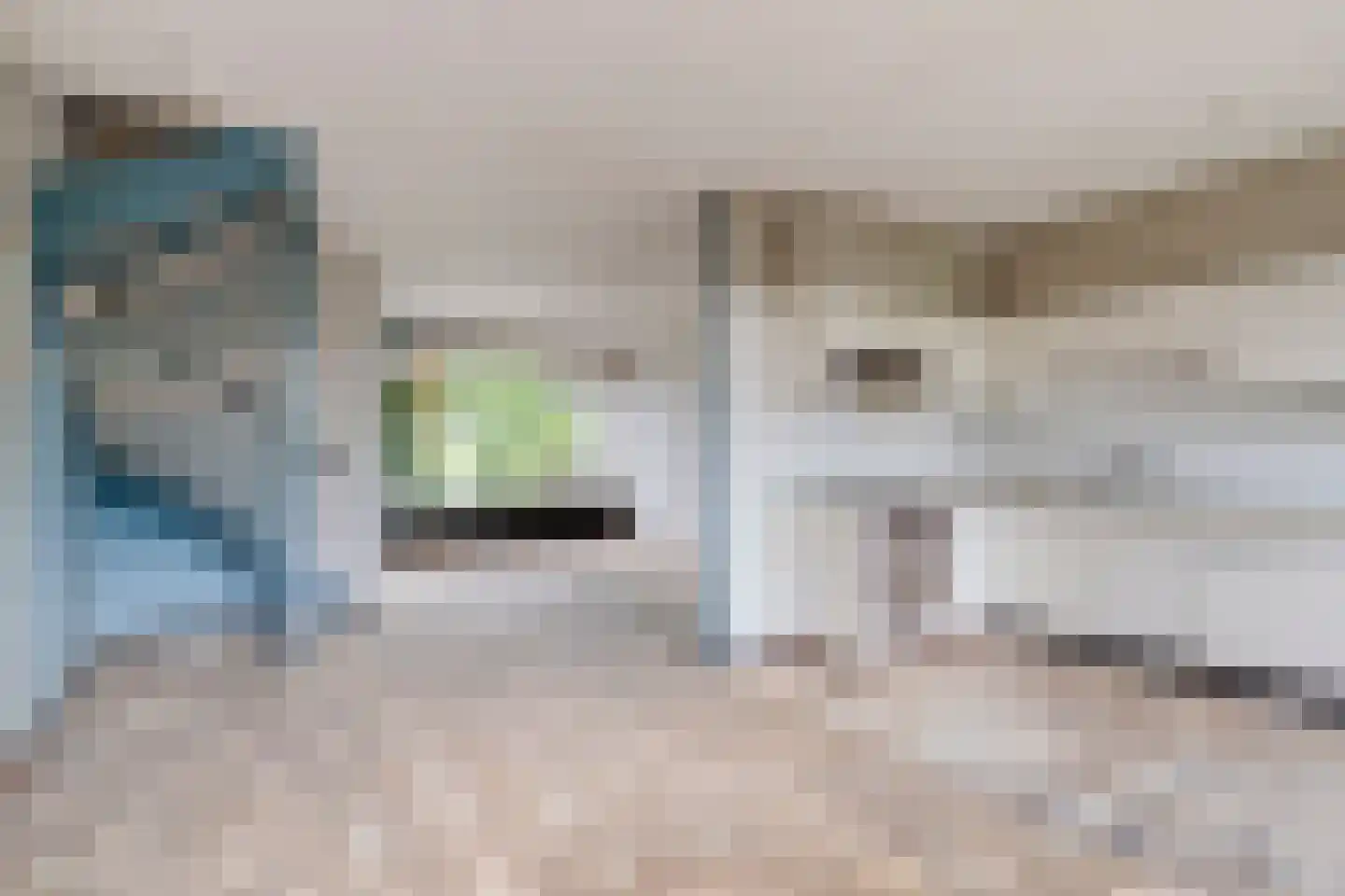 Mosterdmolenweg 6 Montfoort thumbnail 7