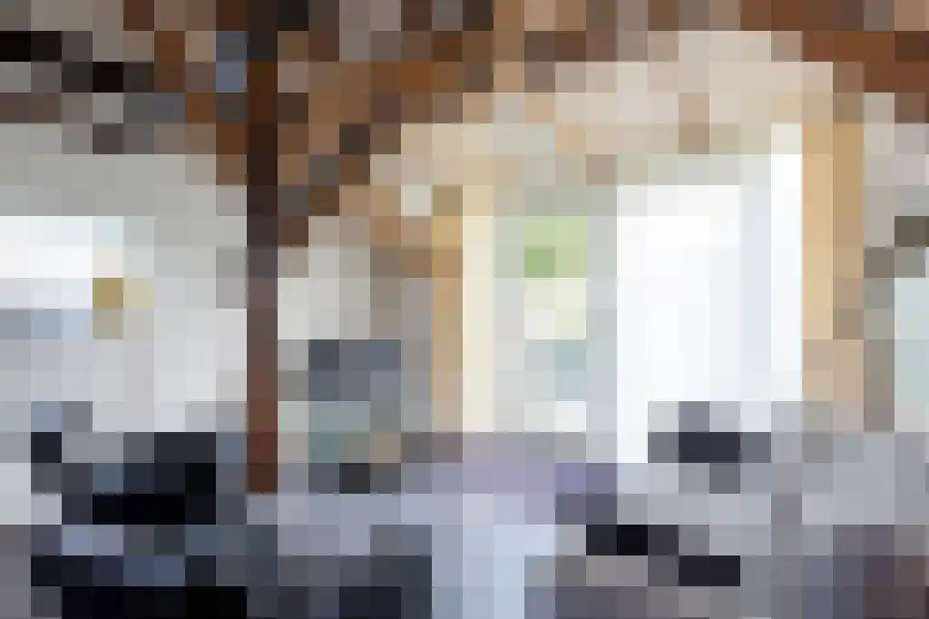 Mosterdpad 2 C Kloosterburen thumbnail 4
