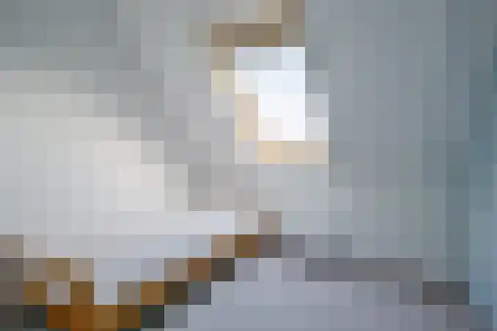 Mosterdpot 36 Tuitjenhorn thumbnail 20