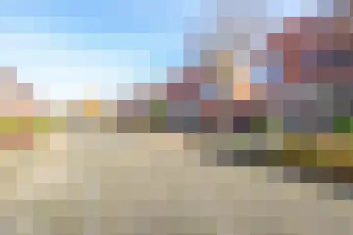 Mosterdpot 36 Tuitjenhorn thumbnail 35