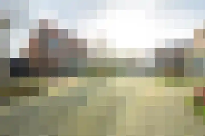 Mosterdpot 36 Tuitjenhorn thumbnail 4
