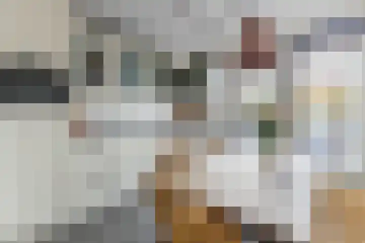 Mosterdpot 9 Tuitjenhorn thumbnail 10