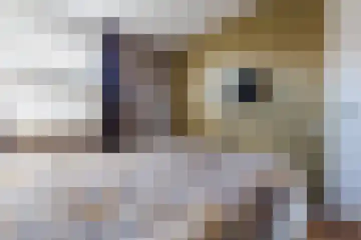 Mosterdpot 9 Tuitjenhorn thumbnail 16