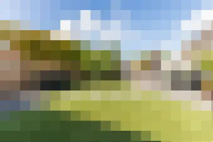 Mosterdpot 9 Tuitjenhorn thumbnail 31