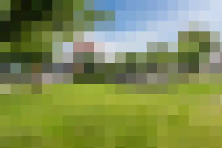 Mosterdpot 9 Tuitjenhorn thumbnail 35