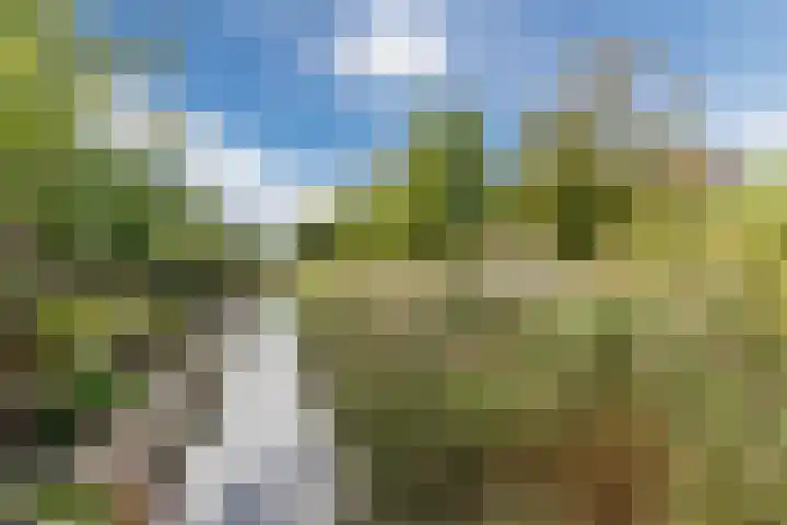 Mosterdpot 9 Tuitjenhorn thumbnail 36