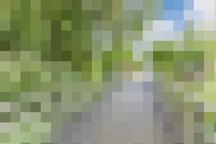 Mosterdpot 9 Tuitjenhorn thumbnail 37