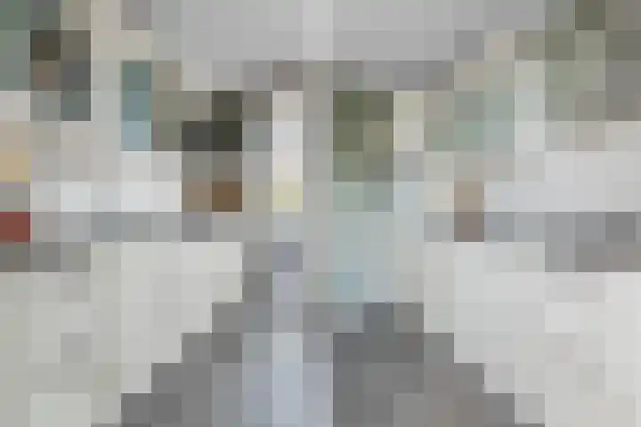 Mosterdpot 9 Tuitjenhorn thumbnail 9