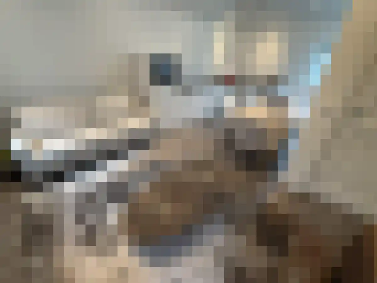 Mosterdsteeg 21 Leiden thumbnail 4