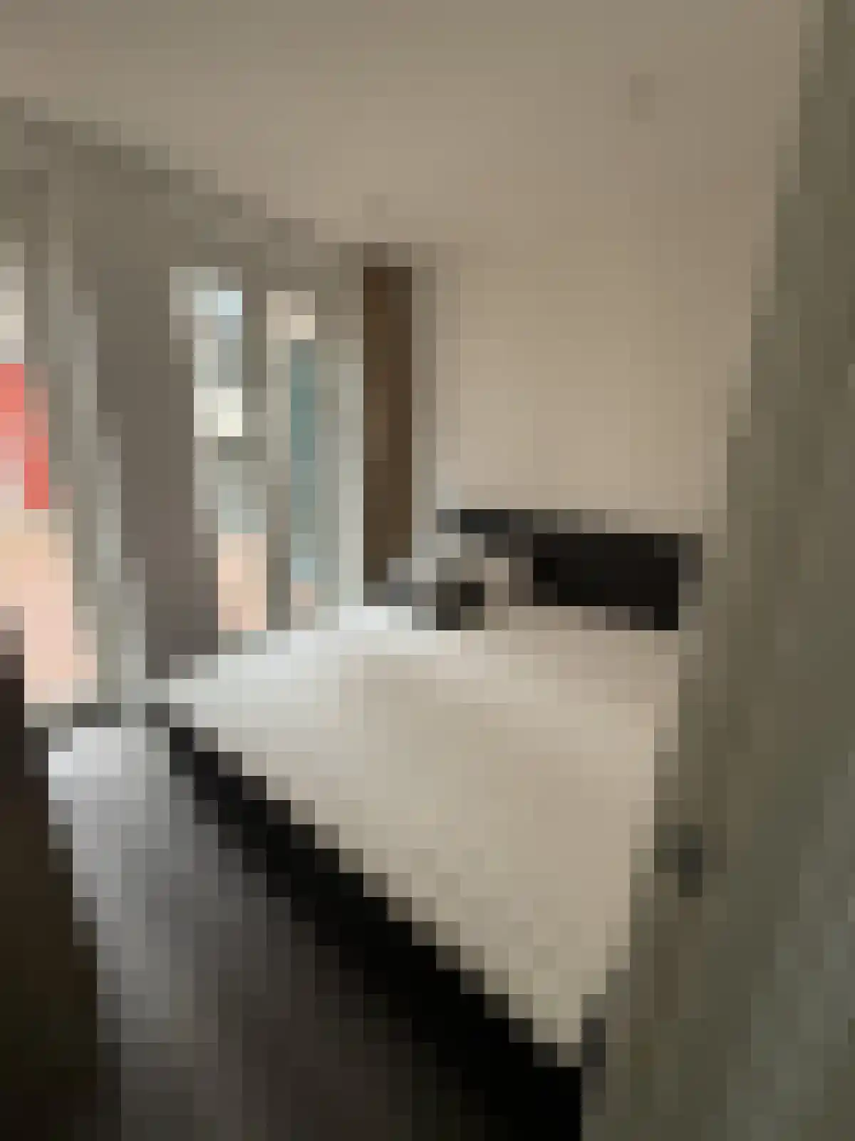 Mosterdsteeg 21 Leiden thumbnail 6