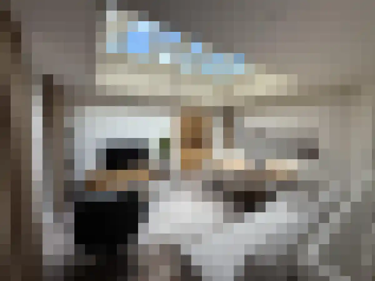 Mosterdsteeg 31 Leiden thumbnail 4