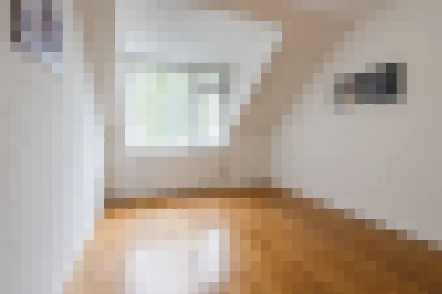 Mosterdveld 1 Veghel thumbnail 33