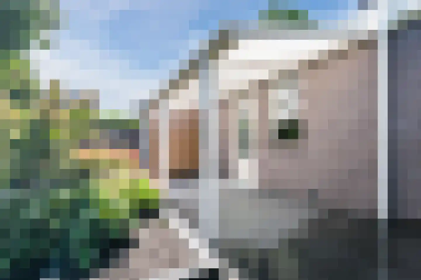 Mosterdveld 1 Veghel thumbnail 44