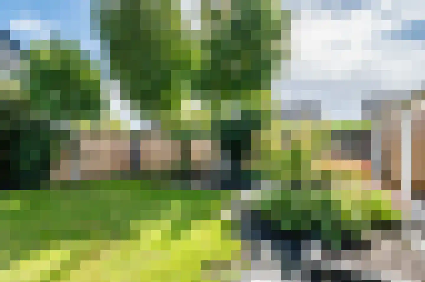 Mosterdveld 1 Veghel thumbnail 45