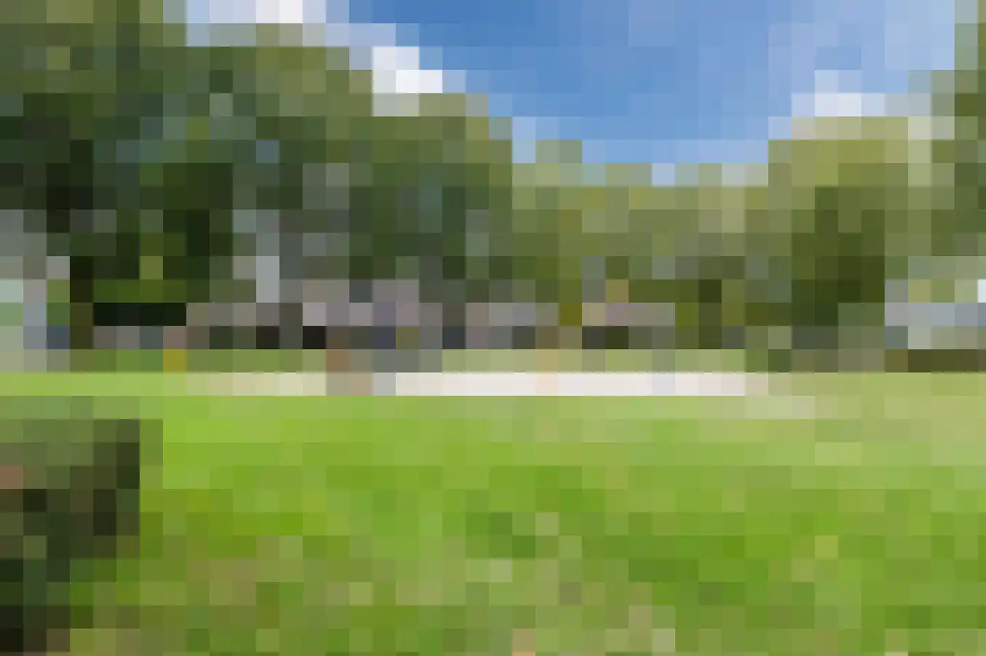 Mosterdveld 1 Veghel thumbnail 52