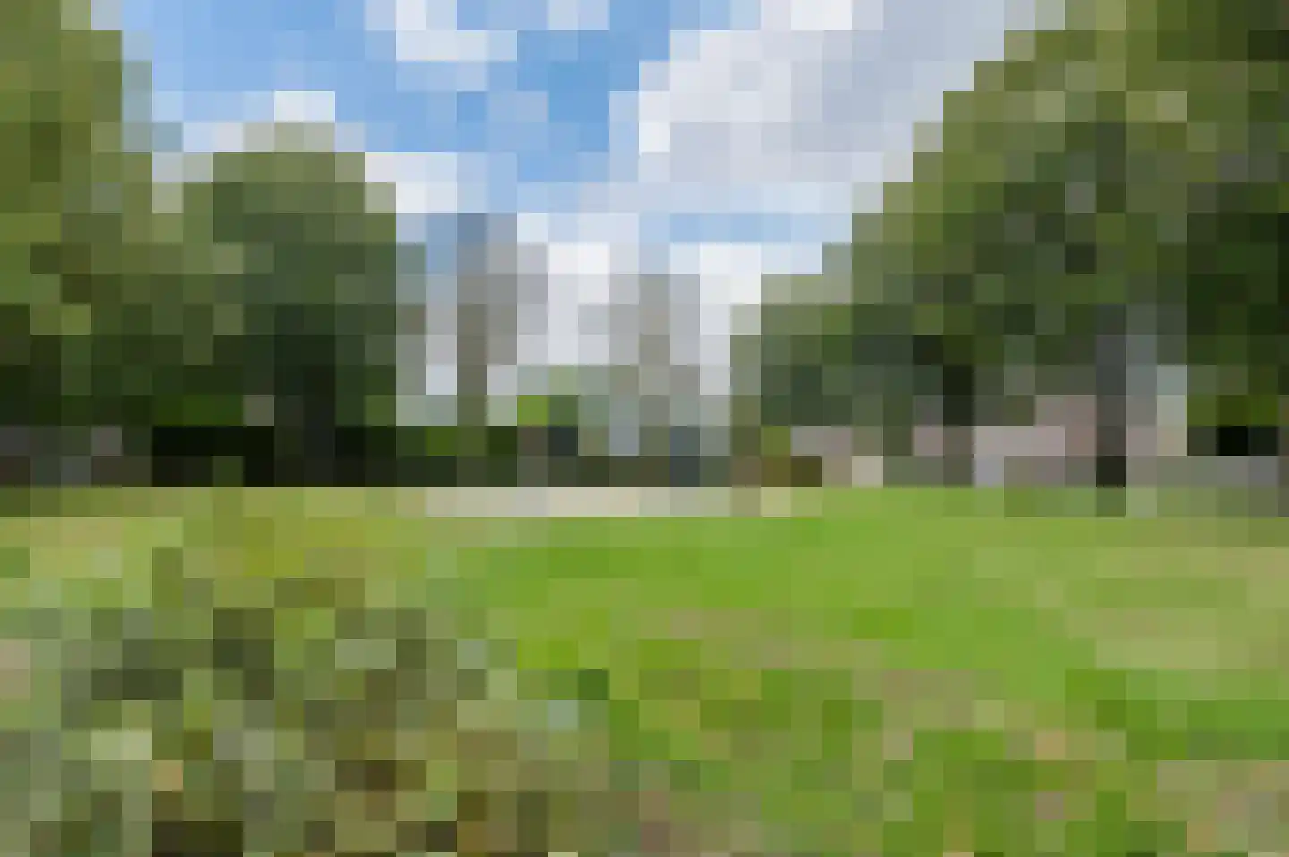 Mosterdveld 1 Veghel thumbnail 53