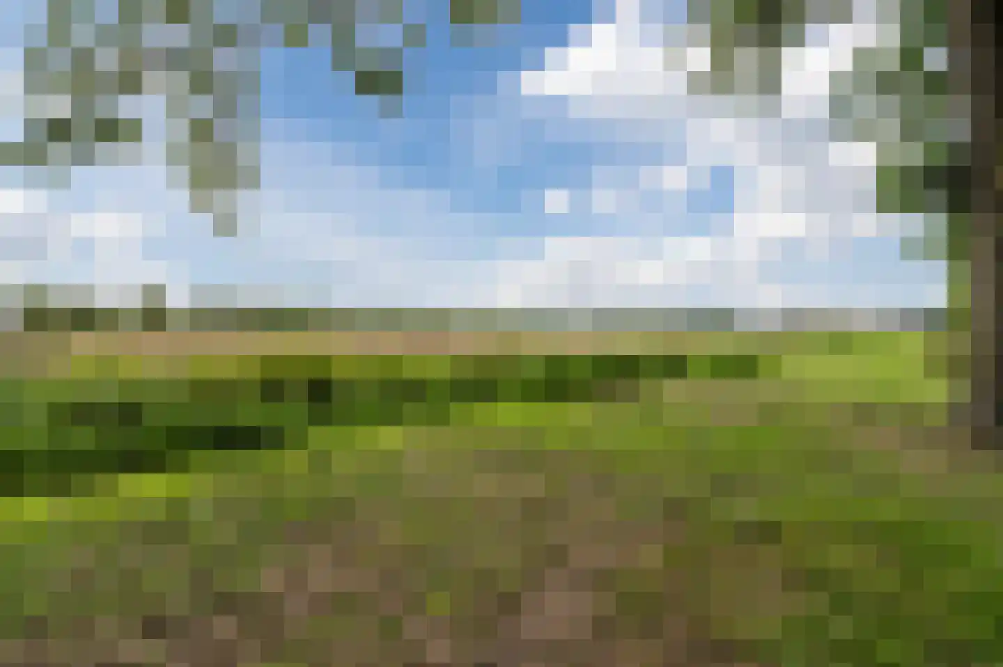 Mosterdveld 1 Veghel thumbnail 54