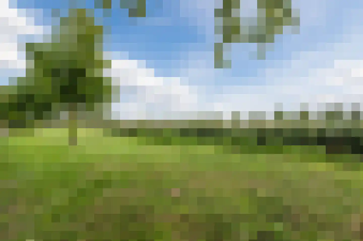 Mosterdveld 1 Veghel thumbnail 55