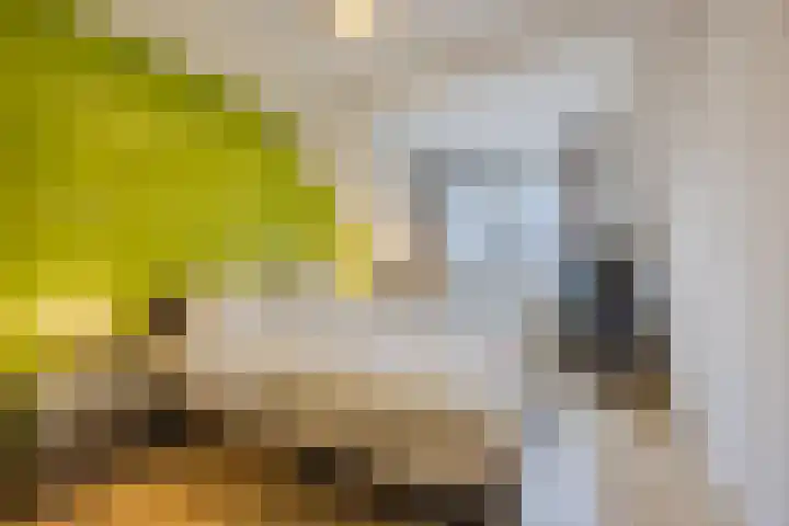 Mosterdveld 7 Veghel thumbnail 25
