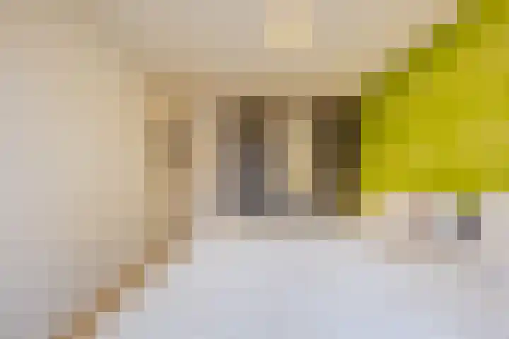 Mosterdveld 7 Veghel thumbnail 26